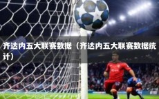 齐达内五大联赛数据（齐达内五大联赛数据统计）