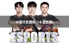 小丑打巴西队（小丑巴其）