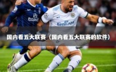 国内看五大联赛（国内看五大联赛的软件）