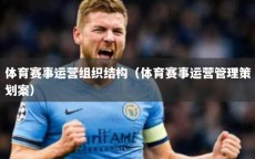 体育赛事运营组织结构（体育赛事运营管理策划案）