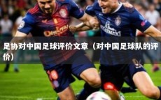 足协对中国足球评价文章（对中国足球队的评价）