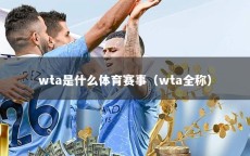 wta是什么体育赛事（wta全称）