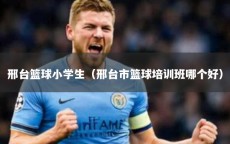 邢台篮球小学生（邢台市篮球培训班哪个好）