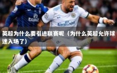 英超为什么要引进联赛呢（为什么英超允许球迷入场了）