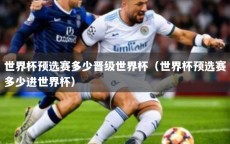 世界杯预选赛多少晋级世界杯（世界杯预选赛多少进世界杯）