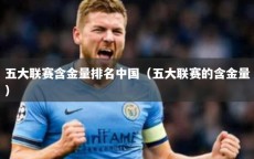 五大联赛含金量排名中国（五大联赛的含金量）