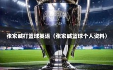 张家诚打篮球英语（张家诚篮球个人资料）