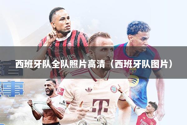 西班牙队全队照片高清(西班牙队图片)