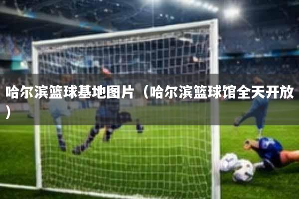 哈尔滨篮球基地图片(哈尔滨篮球馆全天开放)