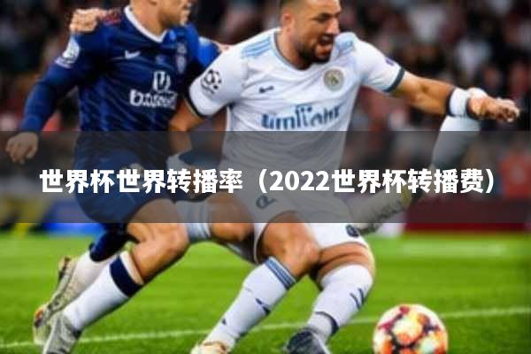 世界杯世界转播率(2022世界杯转播费)