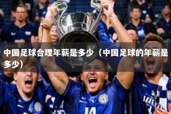 中国足球合理年薪是多少(中国足球的年薪是多少)